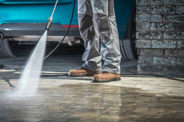 Best Sidewalk and Walkway Cleaning  in Bushnell, FL
