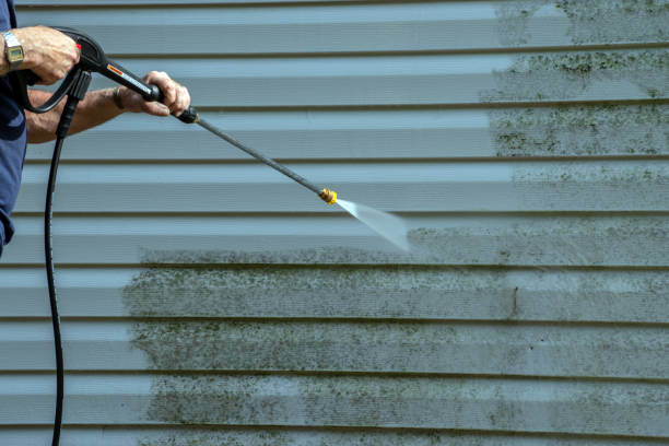 Best Pre-Holiday Cleaning  in Bushnell, FL